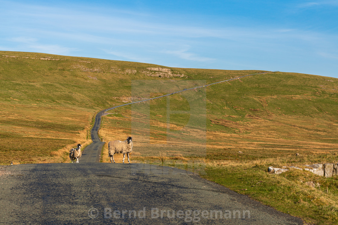 "On the B6270 road between Birkdale and Nateby, Cumbria, England" stock image