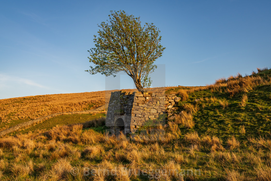 "Near Keld, North Yorkshire, England" stock image