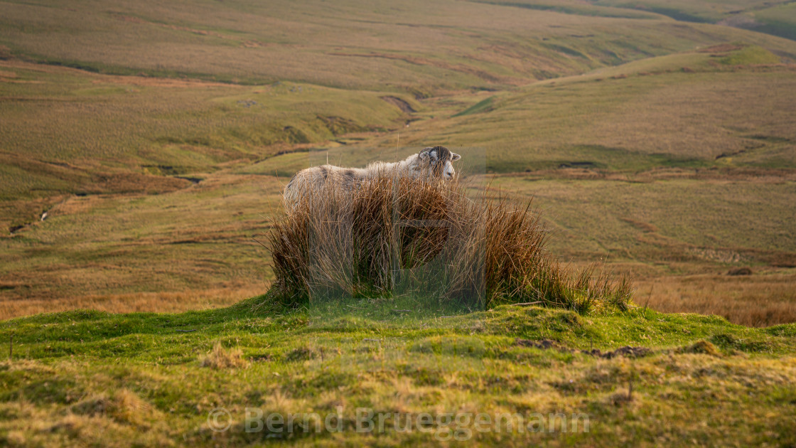 "Near Barras, Cumbria, England" stock image