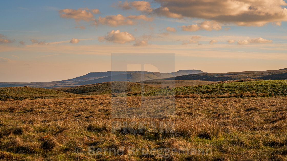 "Between Gearstones and Hawes, North Yorkshire, England" stock image