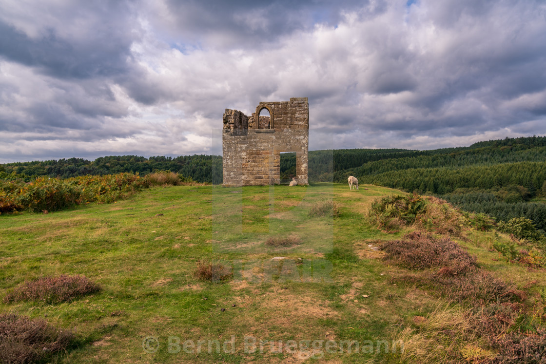 "Skelton Tower, England, UK" stock image