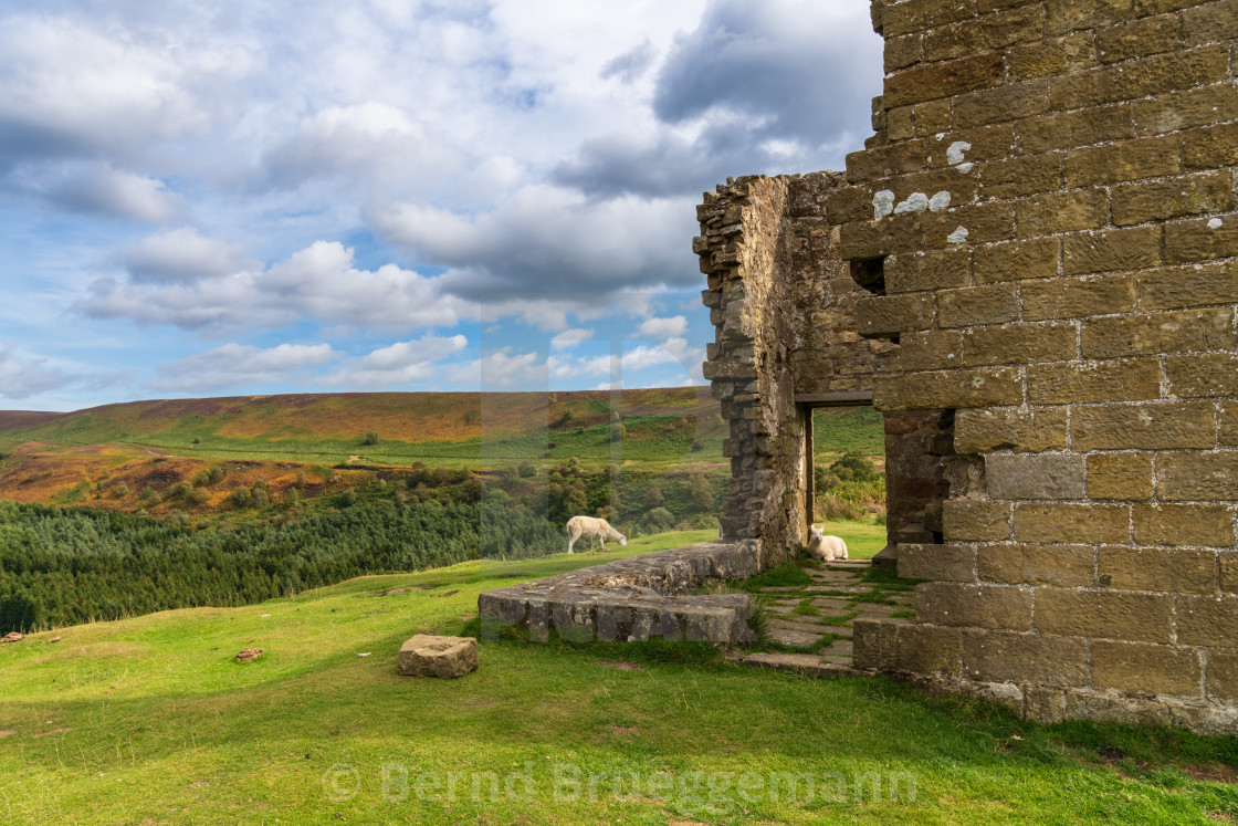 "Skelton Tower, England, UK" stock image