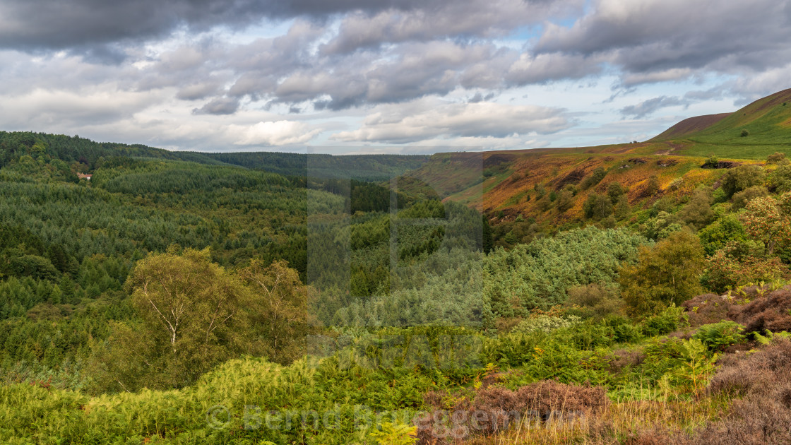 "North York Moors landscape, England, UK" stock image