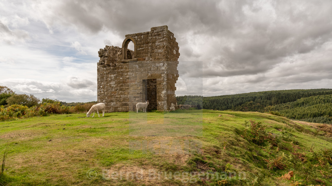 "Skelton Tower, England, UK" stock image