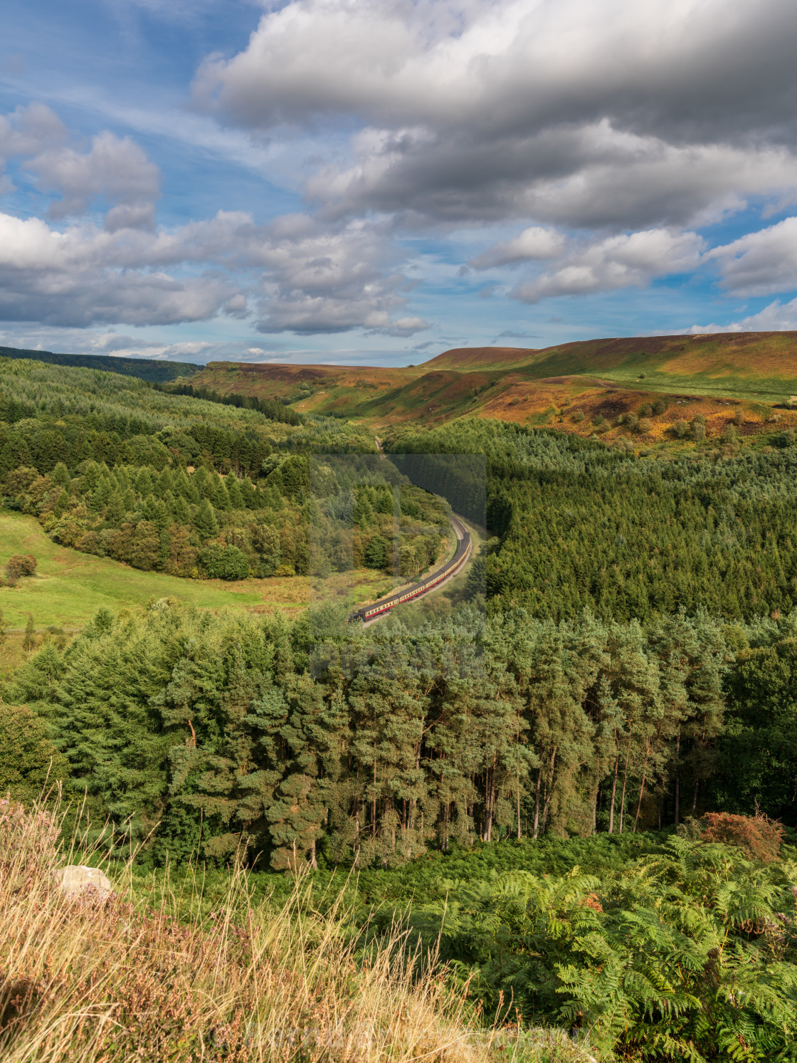 "Newtondale, seen from the Levisham Moor, North Yorkshire, England, UK" stock image