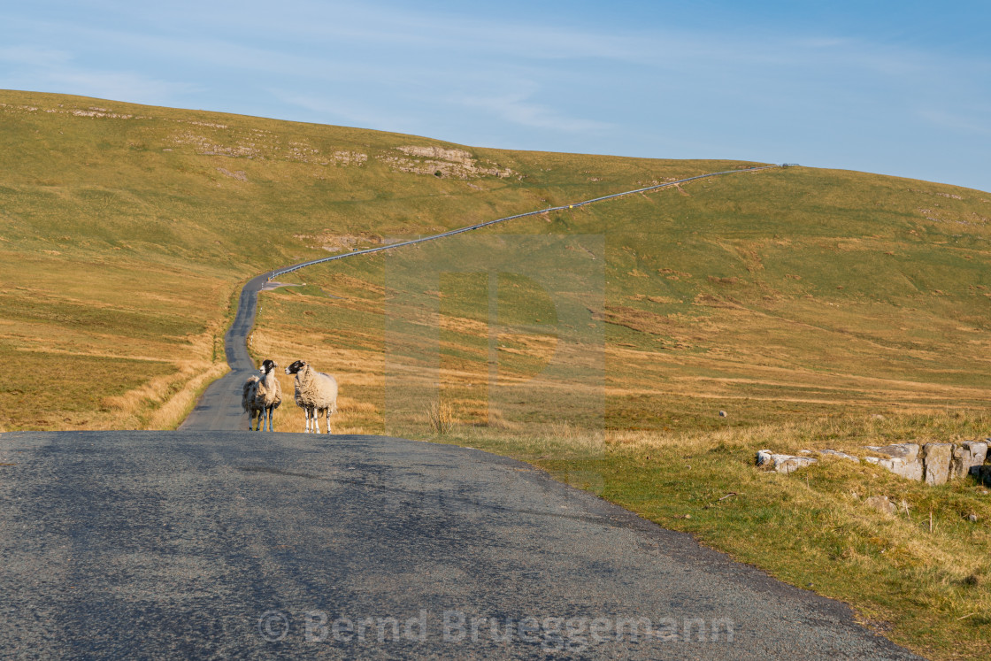 "On the B6270 road between Birkdale and Nateby, Cumbria, England" stock image