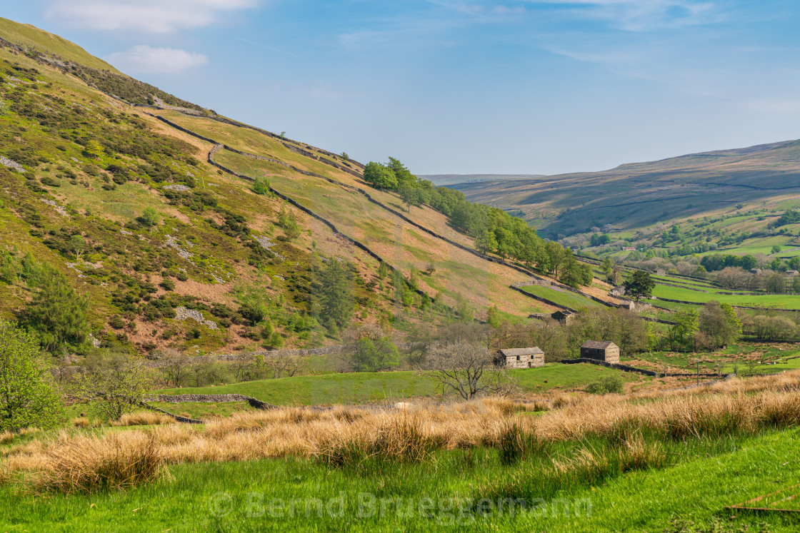 "Between Keld and Thwaite, North Yorkshire, England" stock image