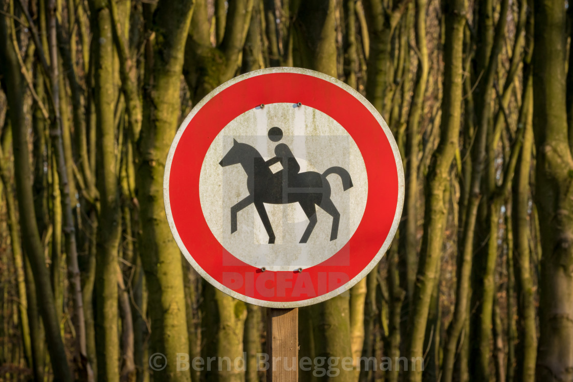 "Sign: No bridlepath, with a row of trees in the background" stock image