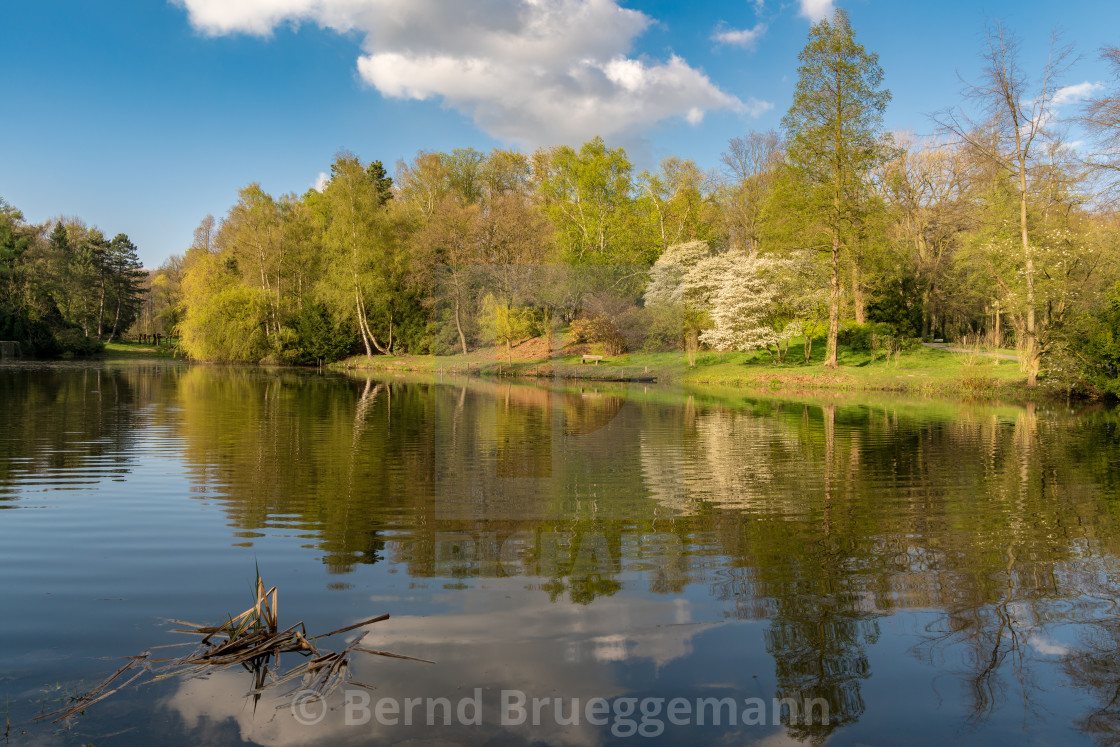 "Lake at the Ehrenmal Wittringen, Germany" stock image