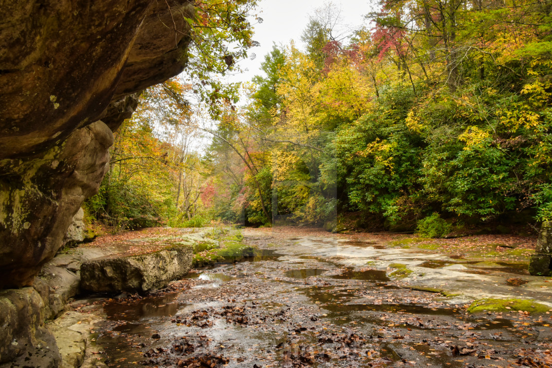 "Fayette-fall 4" stock image