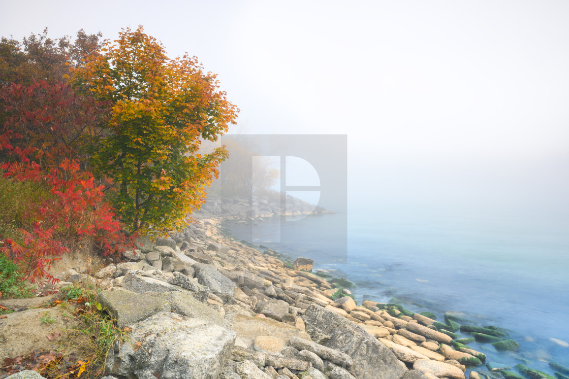 "Foggy Autumn Landscape Along Lake Ontario" by Beth Baisch - $12.33 "Foggy Autumn Landscape Along Lake Ontario" stock image