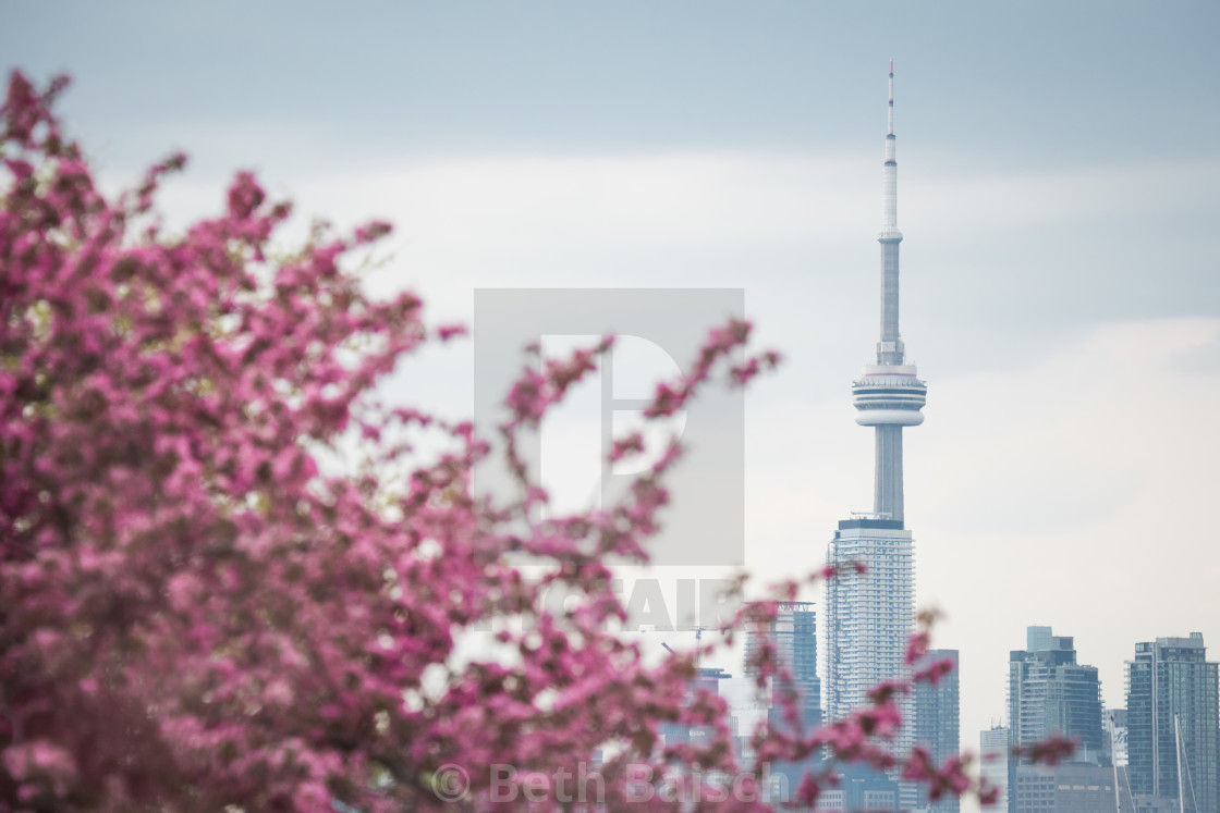 "Springtime In Toronto, Canada" by Beth Baisch - $12.33 "Springtime In Toronto, Canada" stock image