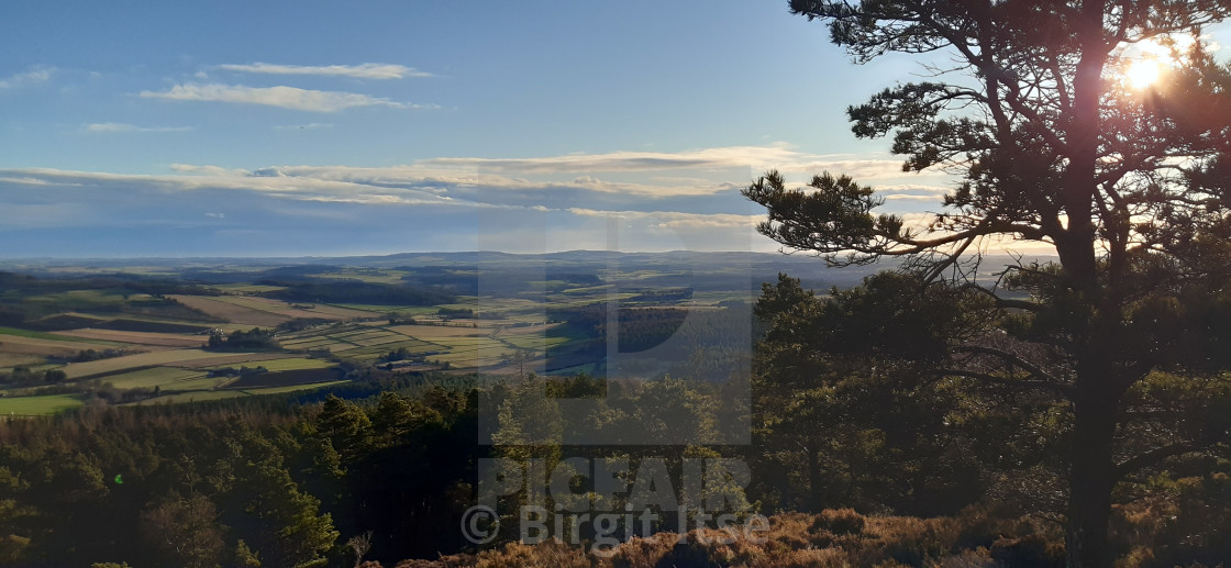 "A rise to Bennachie" stock image