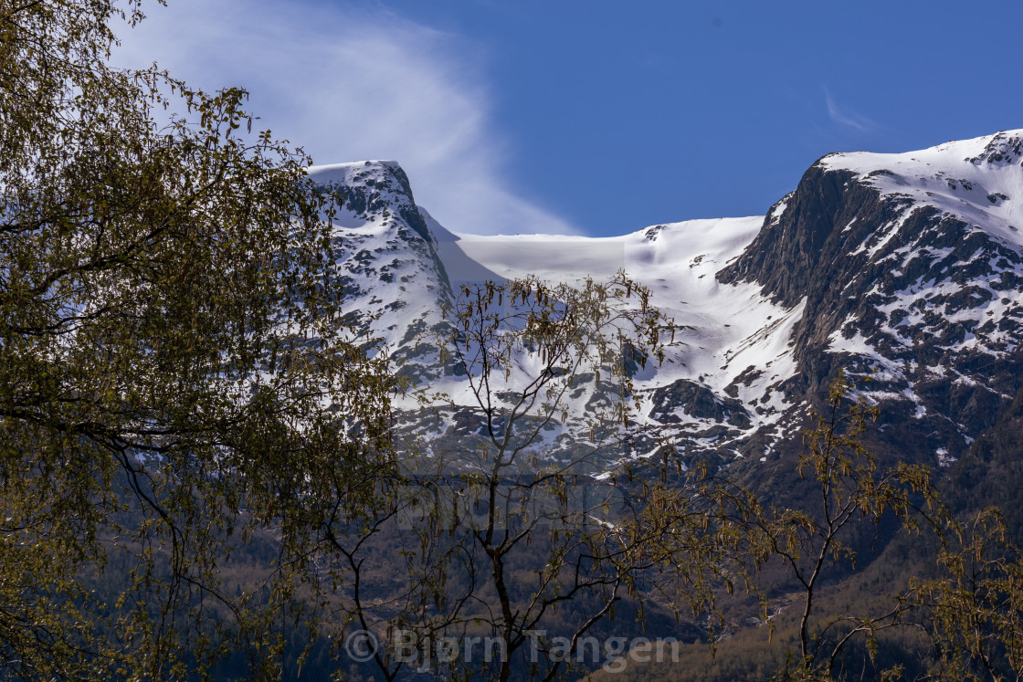 "Spring in Hardanger" by Bjørn Tangen - $38.60 "Spring in Hardanger" stock image