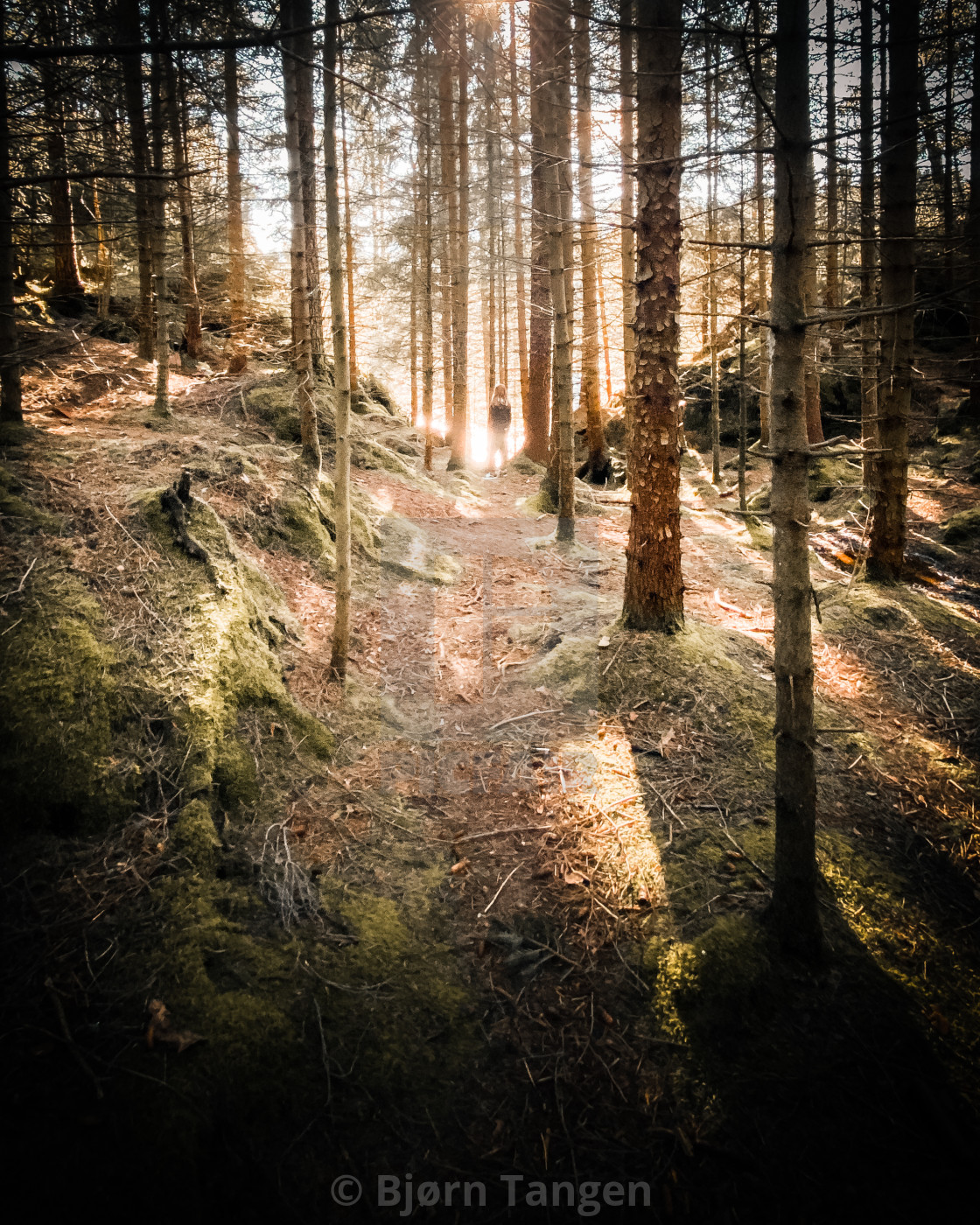 "Towards the light" by Bjørn Tangen - $27.79 "Towards the light" stock image