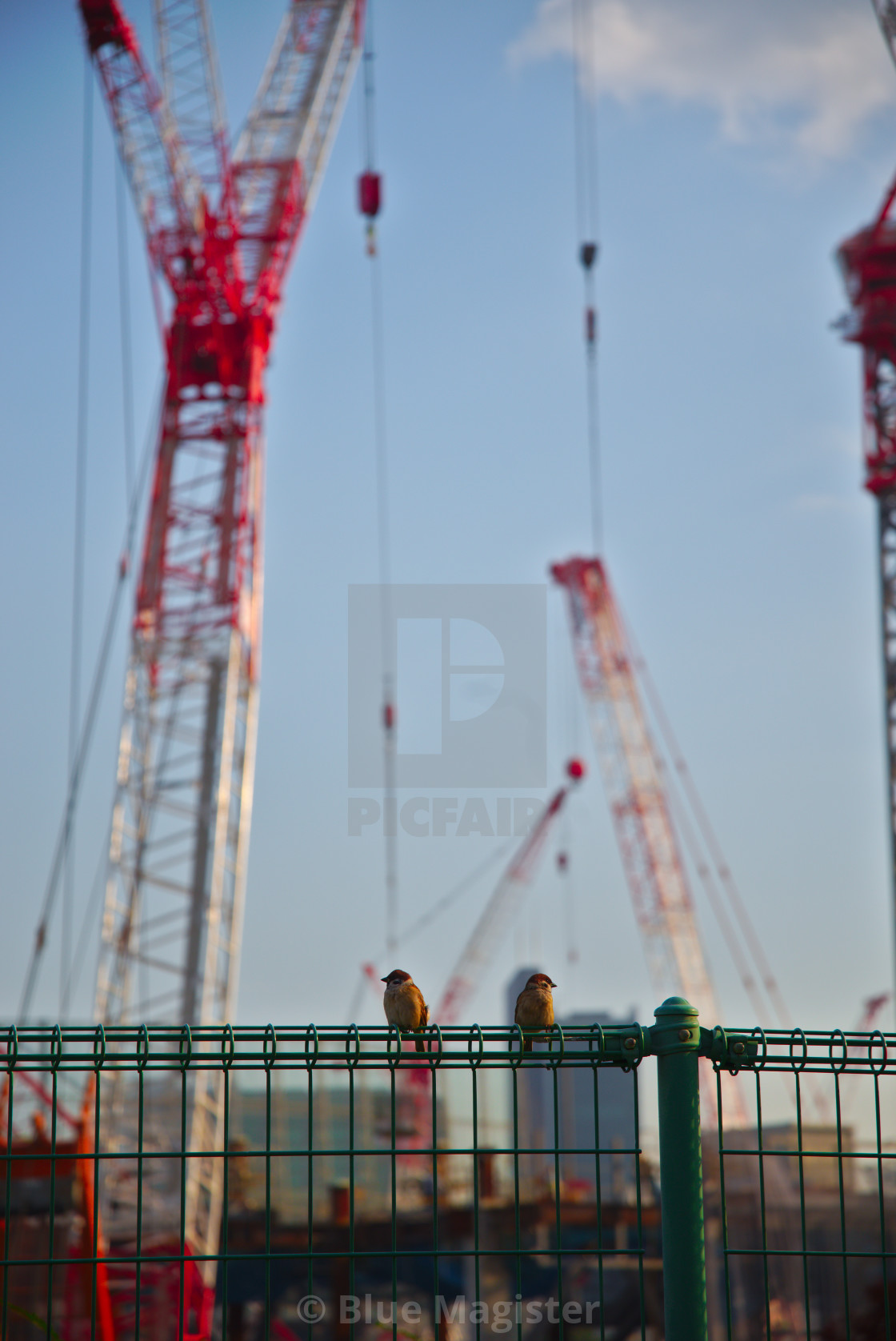 "Taking A Break" by Blue Magister - £80.00 "Taking A Break" stock image