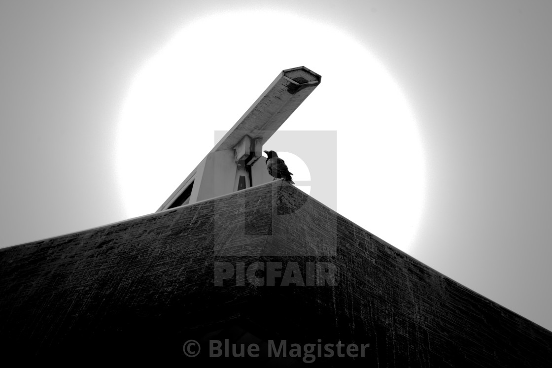 "Sun Crow" by Blue Magister - $270.52 "Sun Crow" stock image