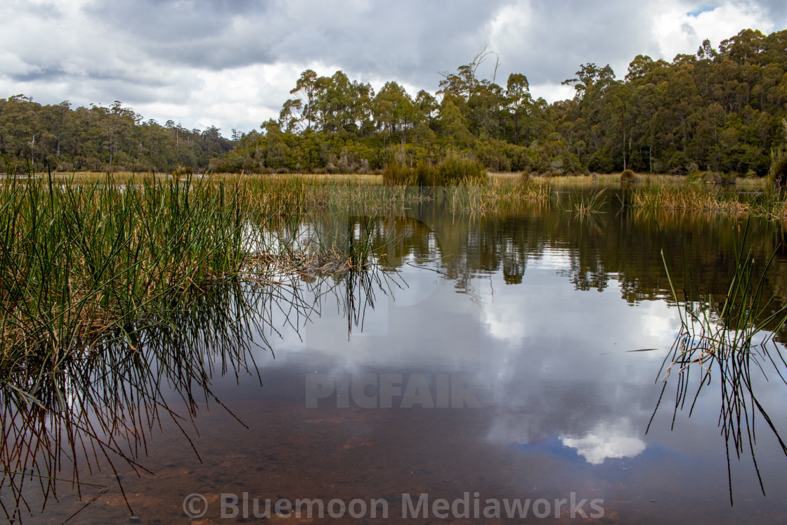 "Pristine, natural, open lakeside environment" stock image