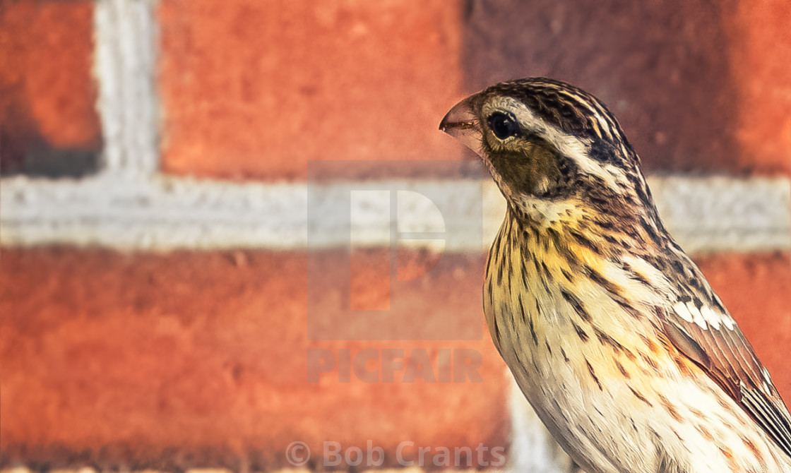 "Get my good side please" stock image