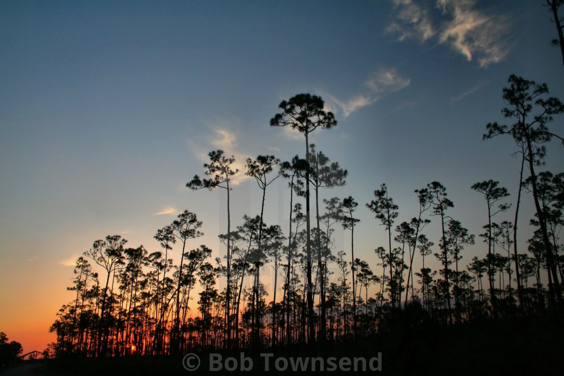 "Everglades sunset" stock image