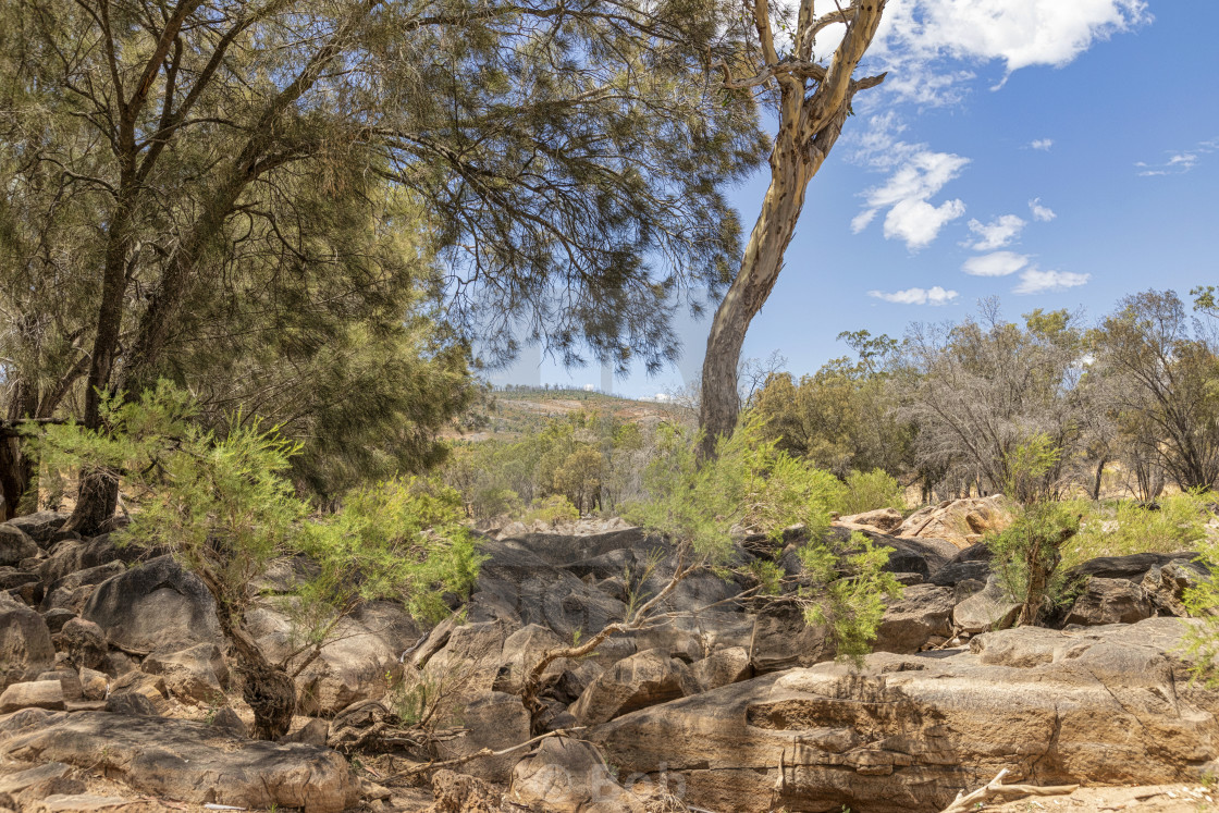 "Walyunga National Park" stock image