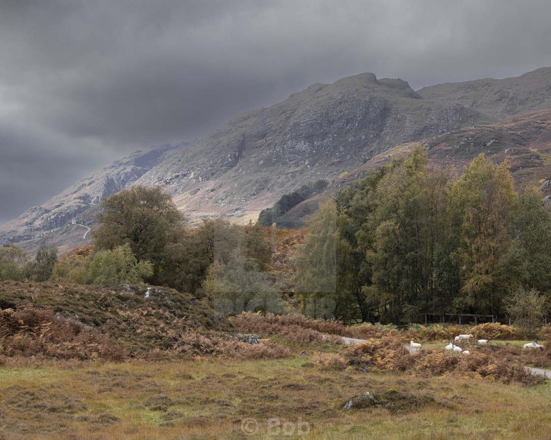 "Glen Strathfarrar" stock image