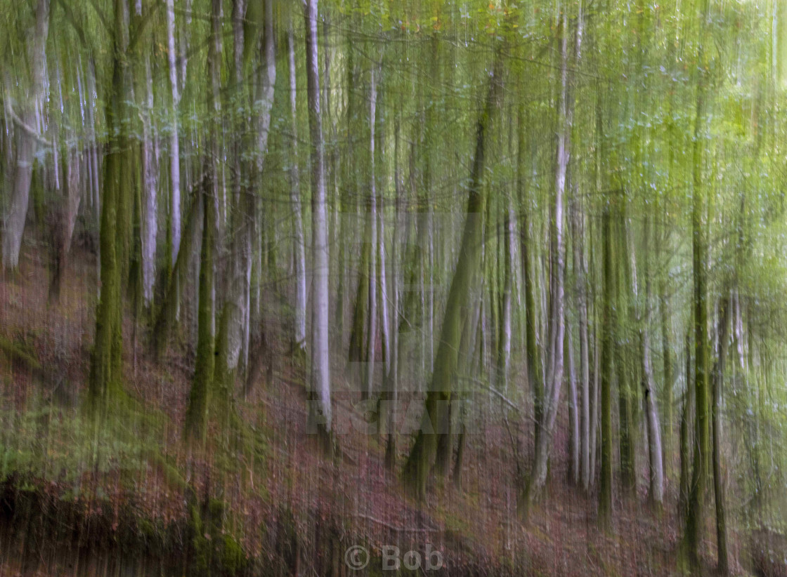 "Woodland ICM" stock image