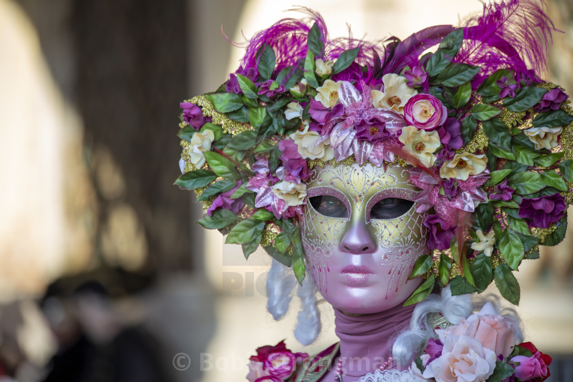 "Floral Costume at Venice Carnival" stock image