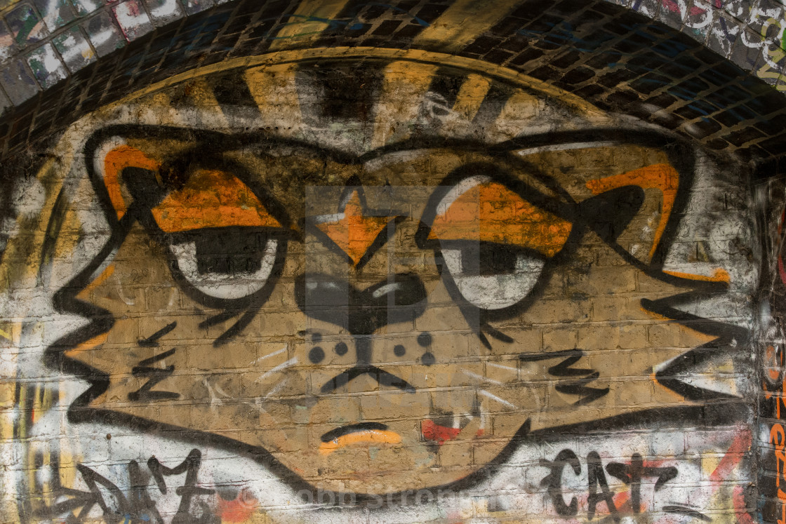 "Graffiti Cat" stock image