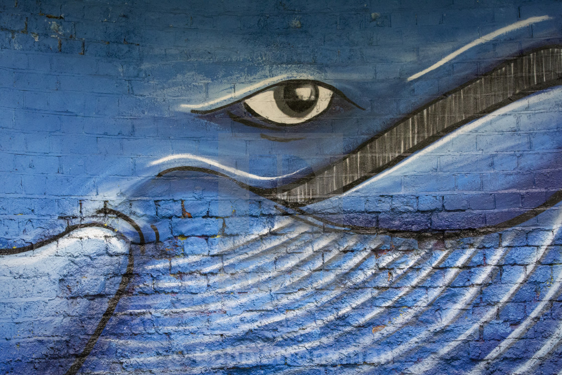 "Blue Whale Graffiti" stock image