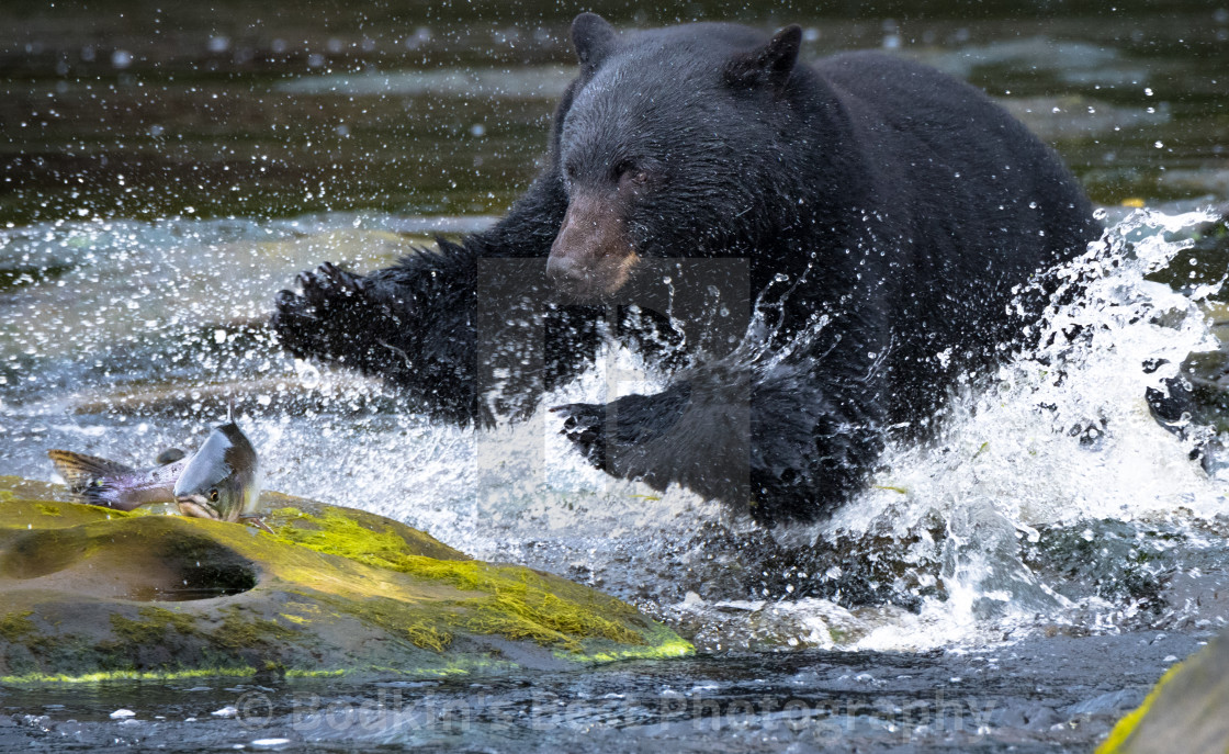 "Swim Faster" stock image