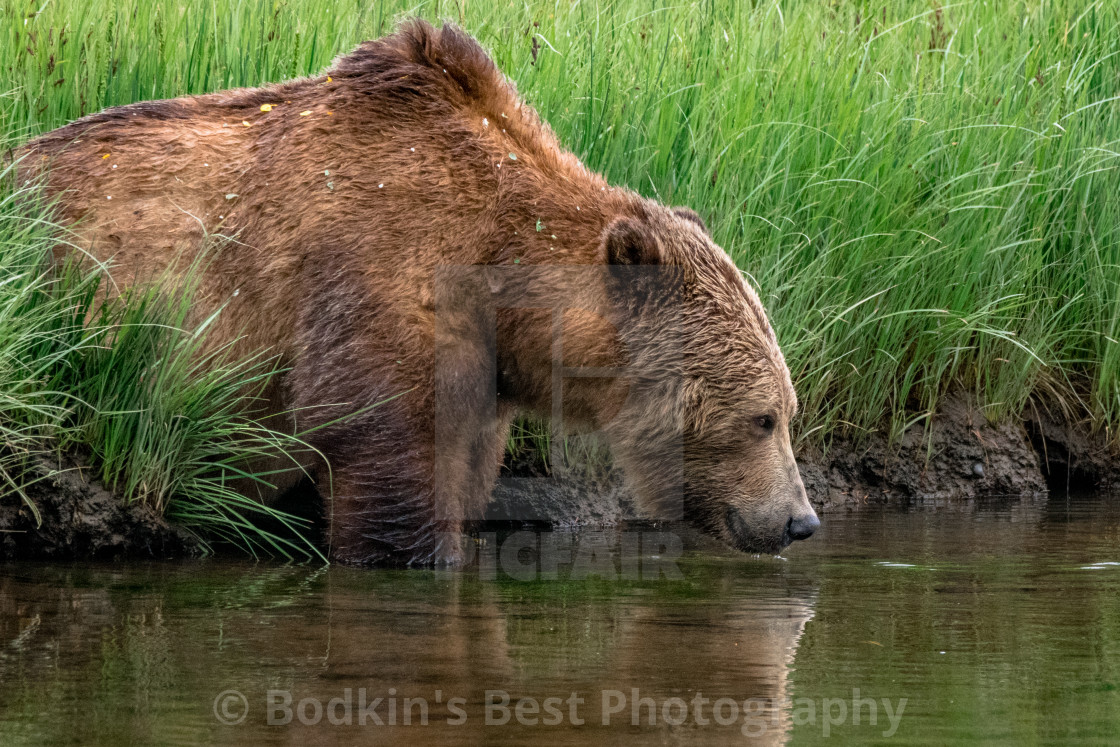 "Time For A Drink" stock image