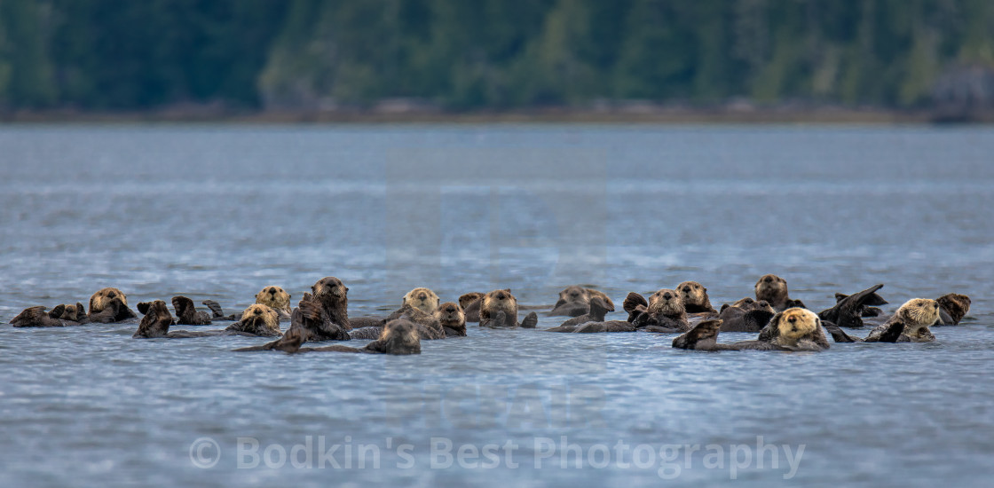 "Group Photo" stock image