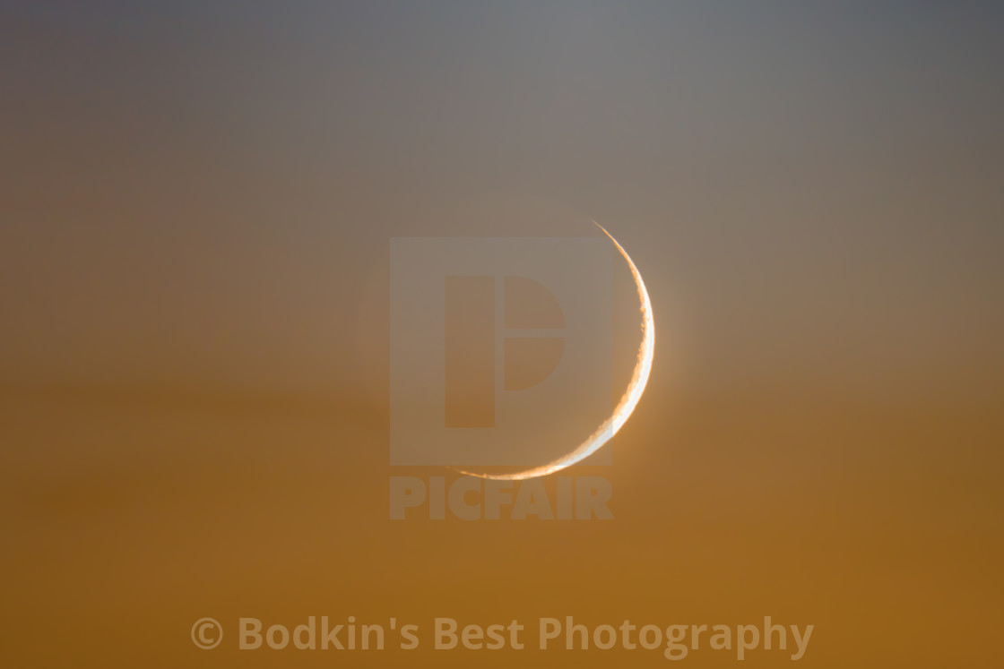 "Crescent Moon" stock image