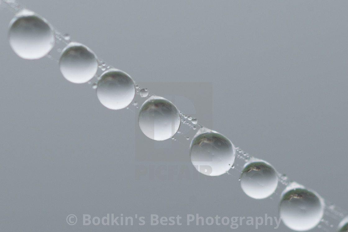 "Water Drops" stock image