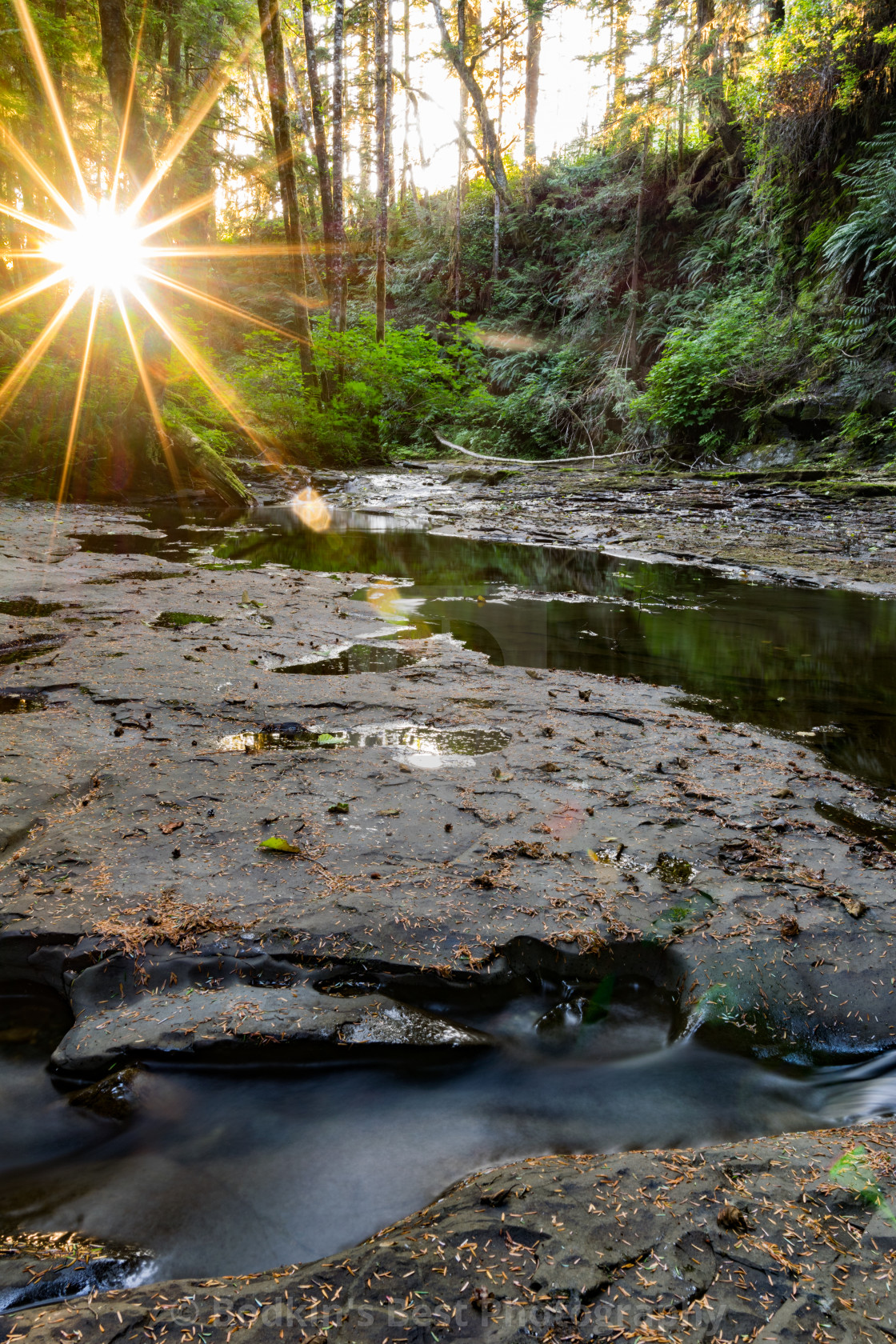 "Winding Stream" stock image