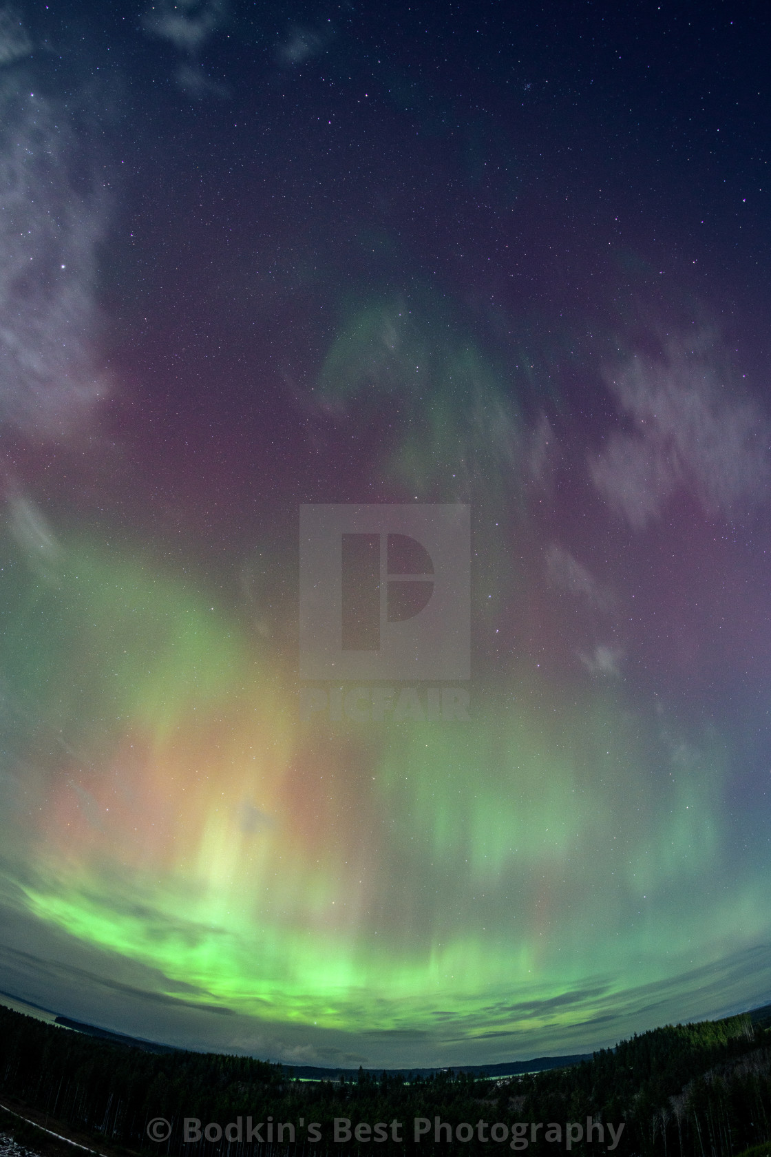 "Aurora February" stock image