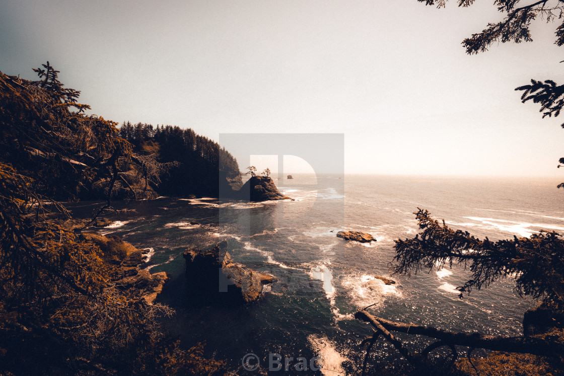 "Oregon Coast" stock image