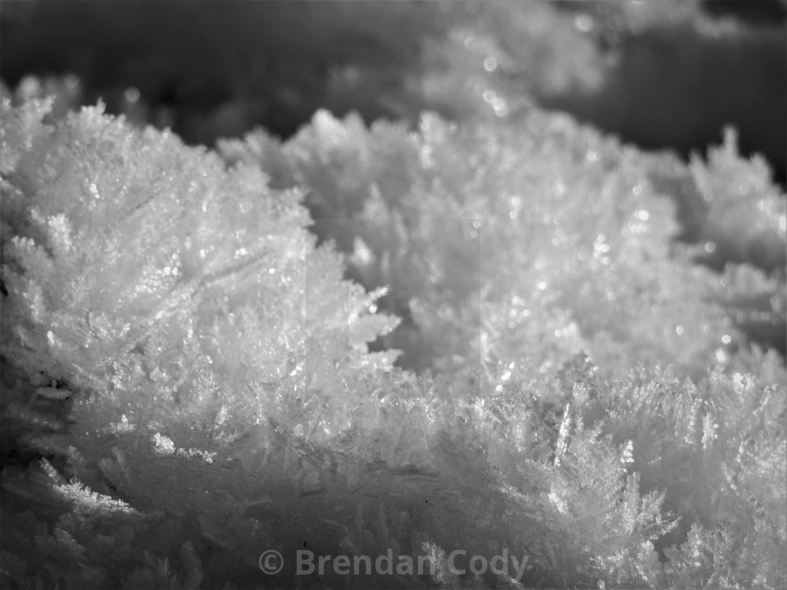 "Ice Crystals" stock image