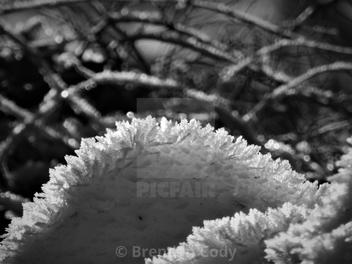 "Ice Crystals" stock image