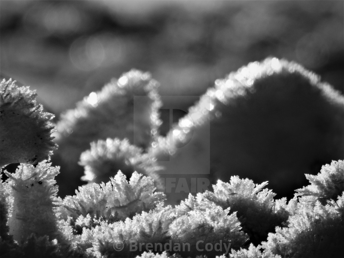 "Ice Crystals" stock image