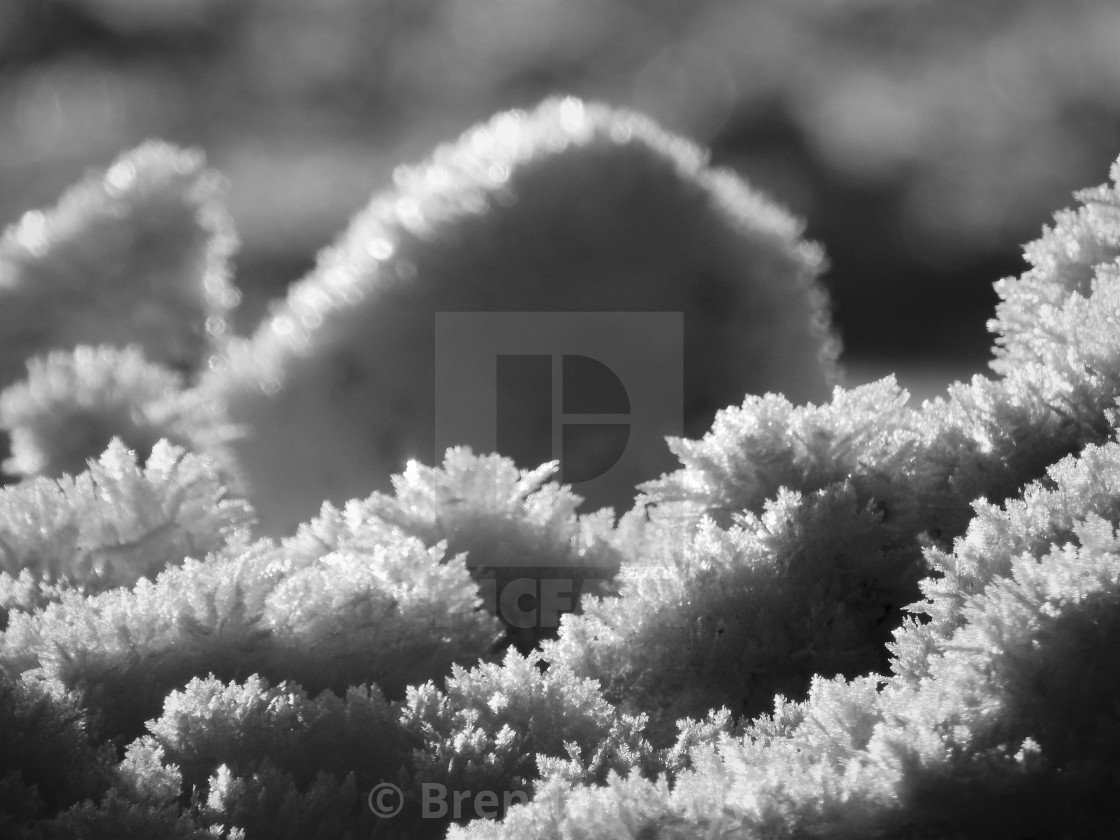 "Ice Crystals" stock image