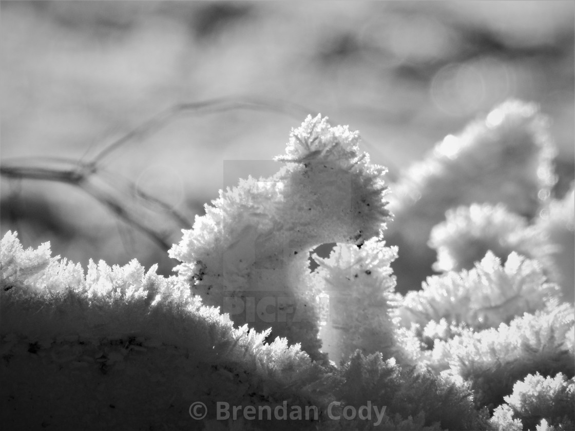 "Ice Crystals" stock image