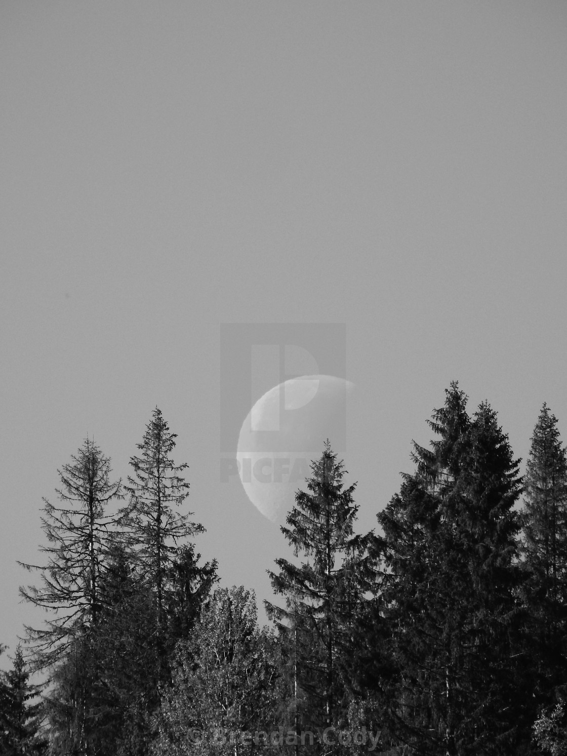 "Big Winter Moon" stock image