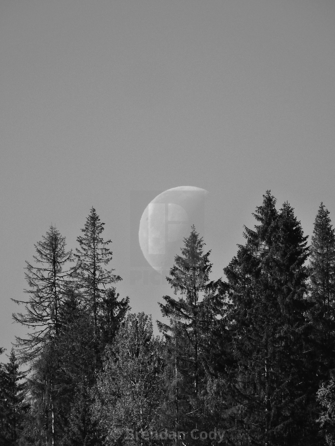 "Big Winter Moon" stock image