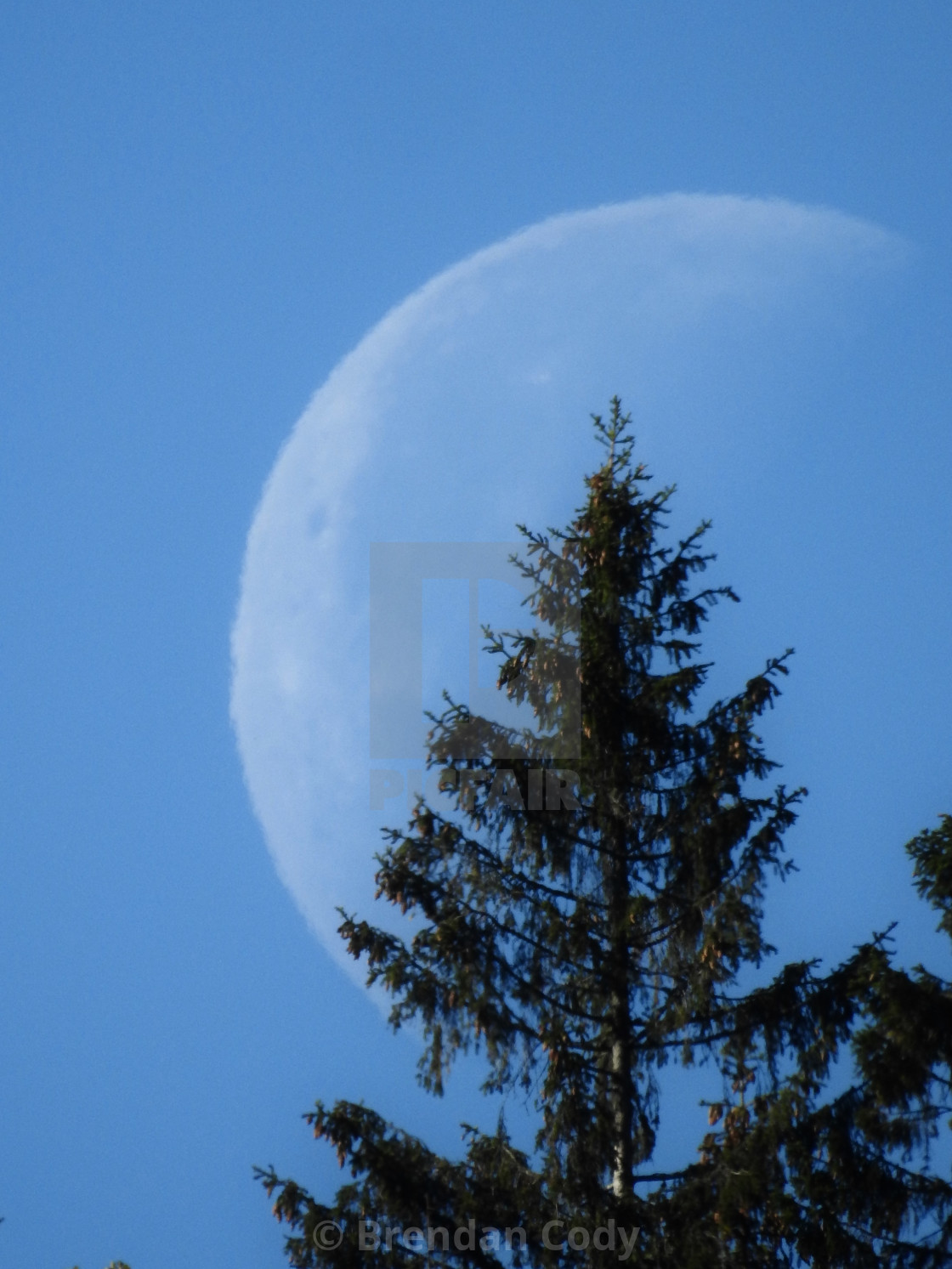 "Big Winter Moon" stock image