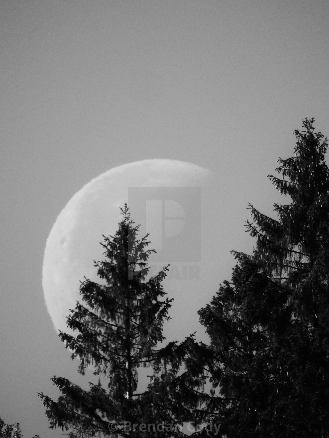 "Big Winter Moon" stock image