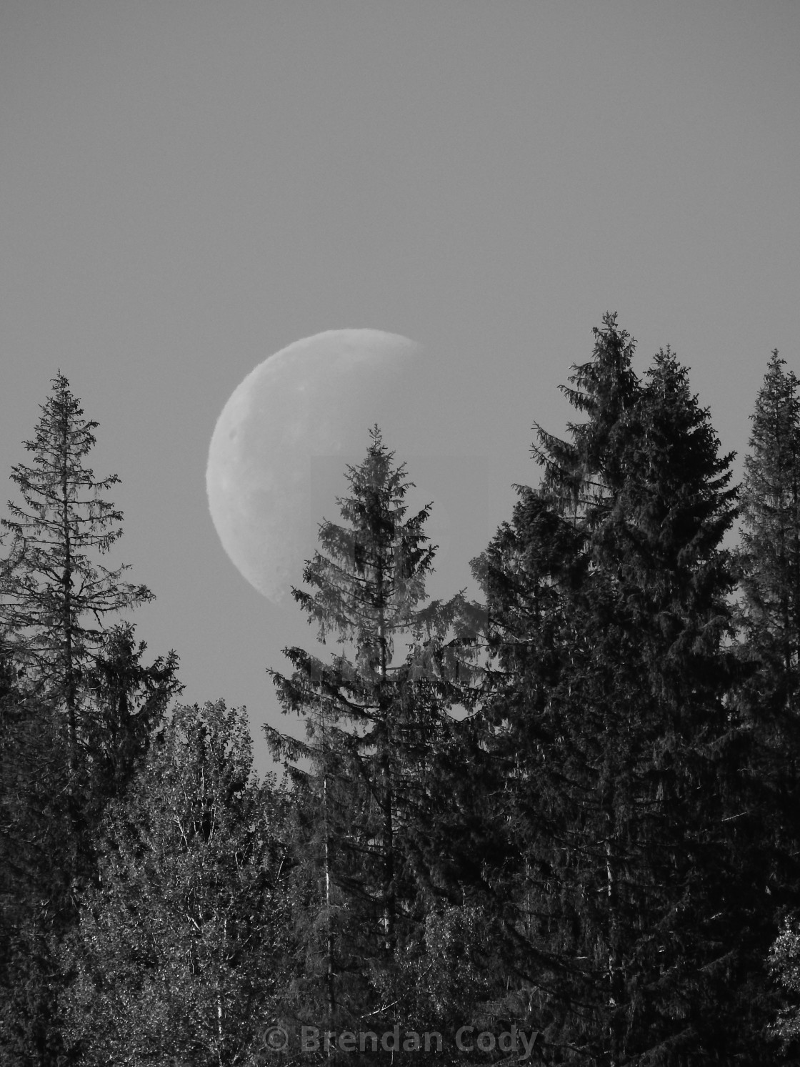 "Big Winter Moon" stock image