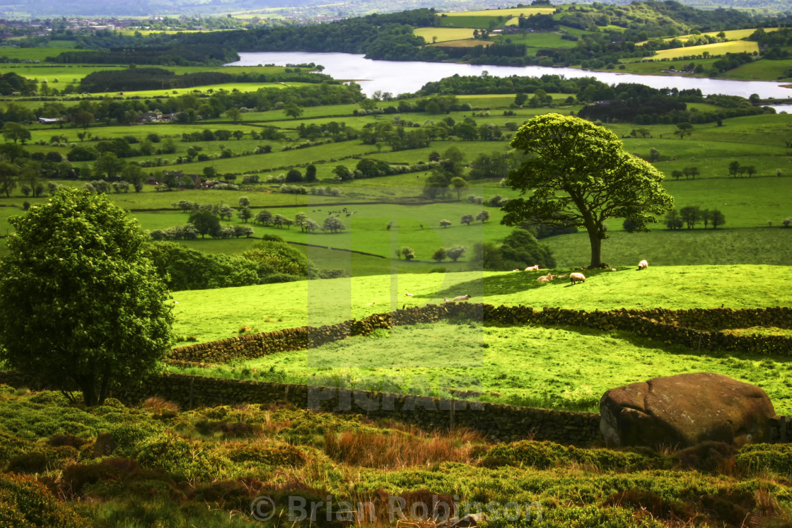 "The Dales" stock image