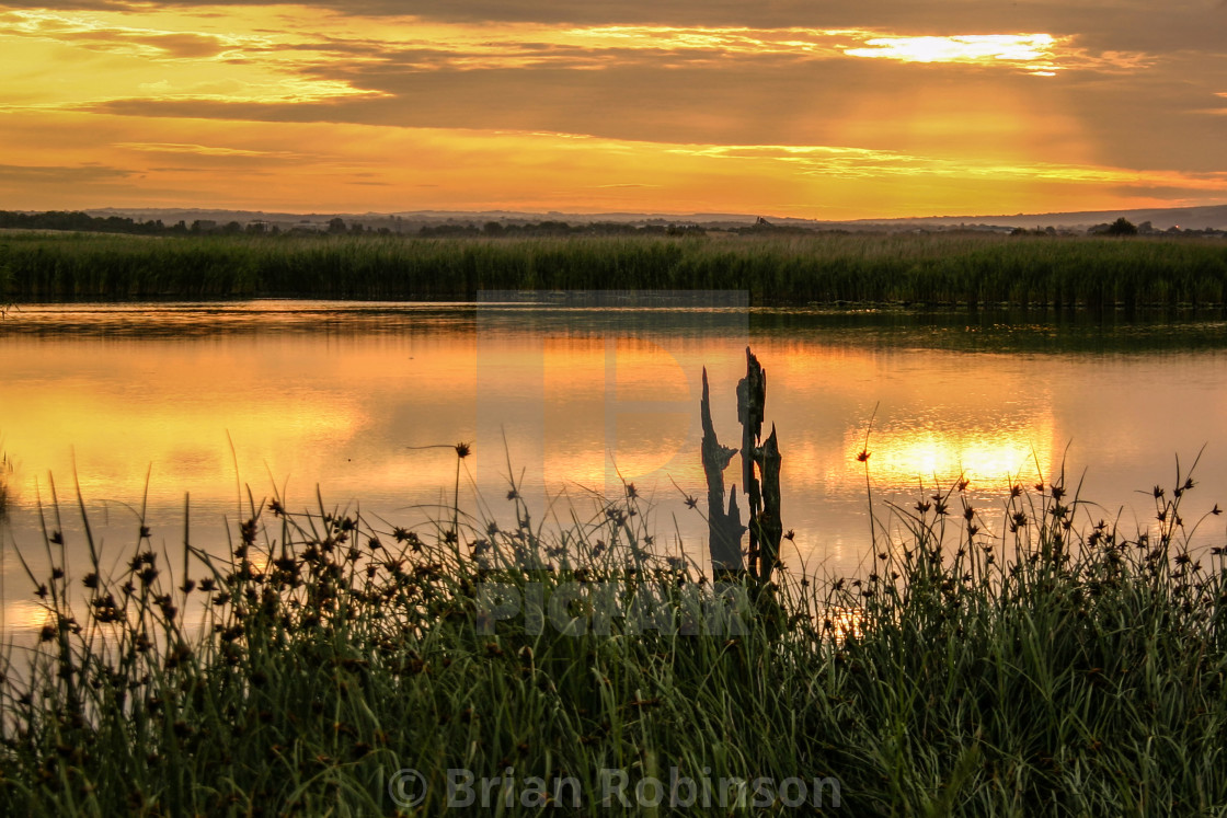 "Marsh Sunrise" stock image